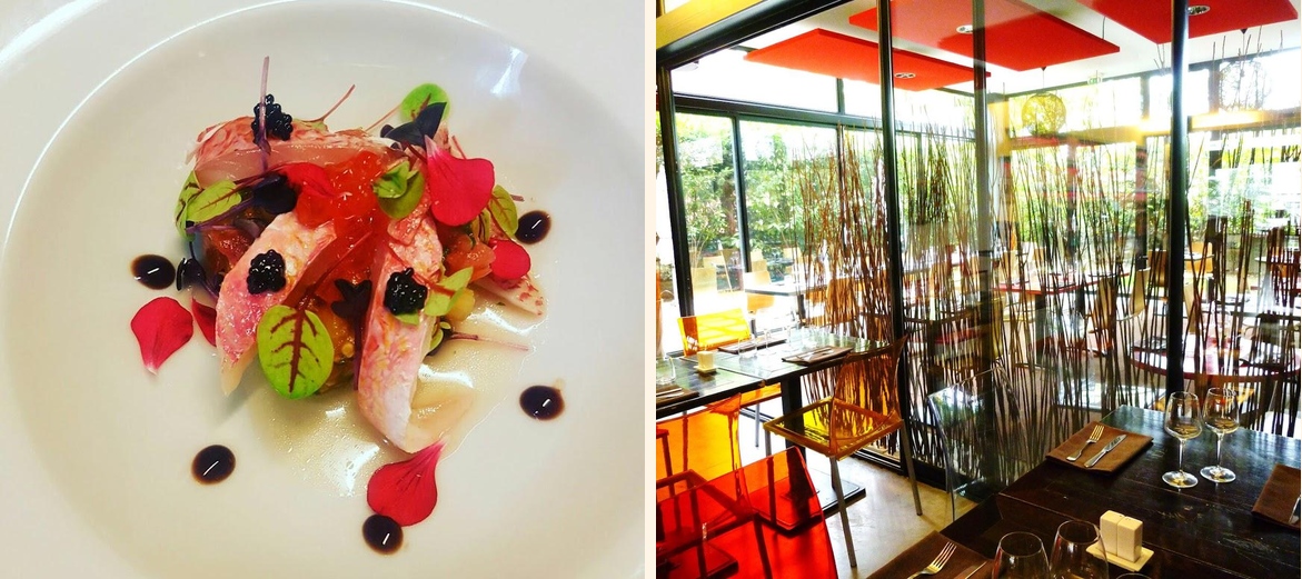 O'Papillon - Gallery Image 1